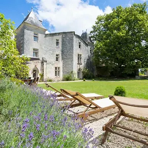 chateau-de-sers.midi-pyreneeshotels.com/